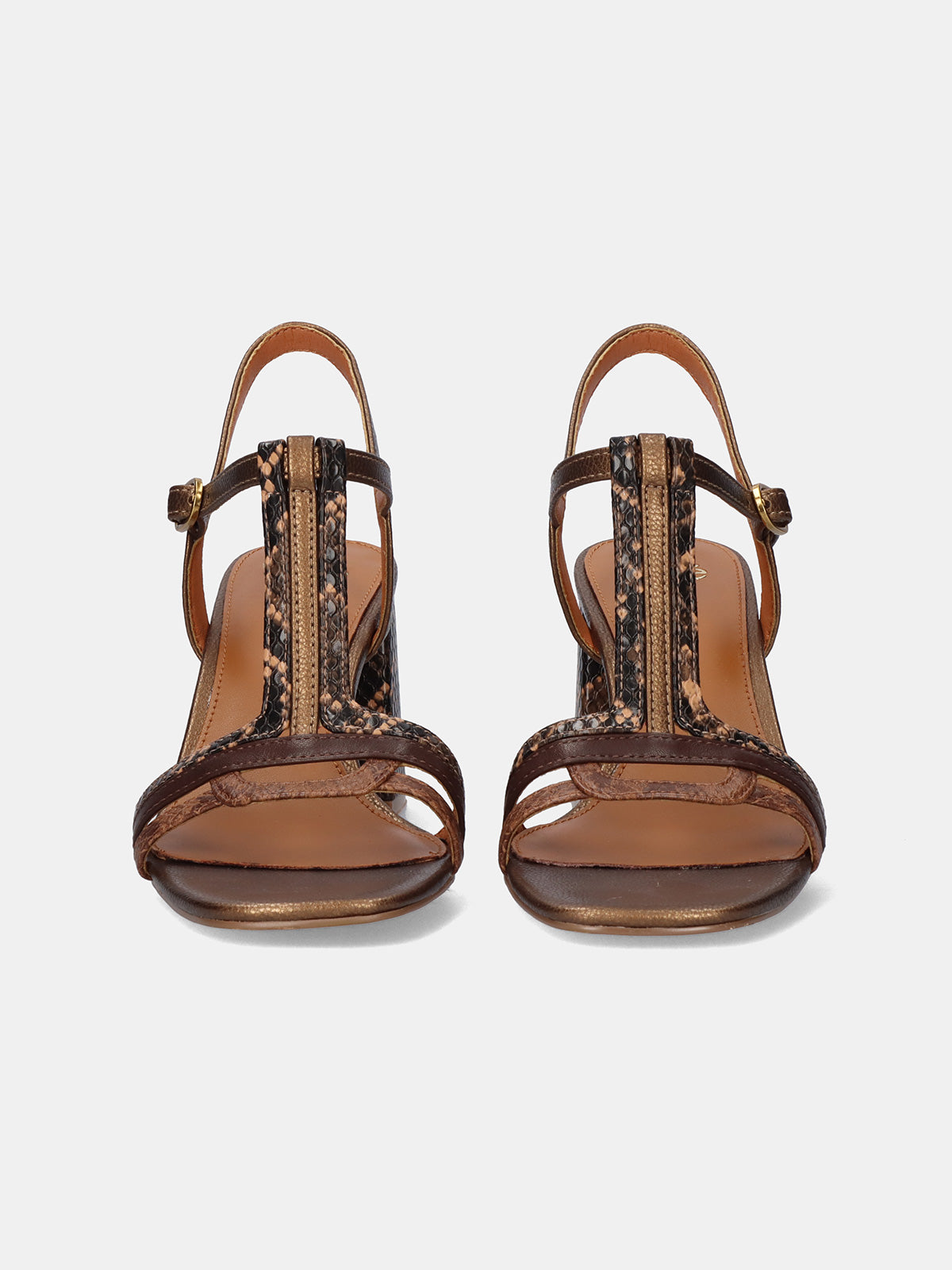 COCO-920 SNAKE BRONZE