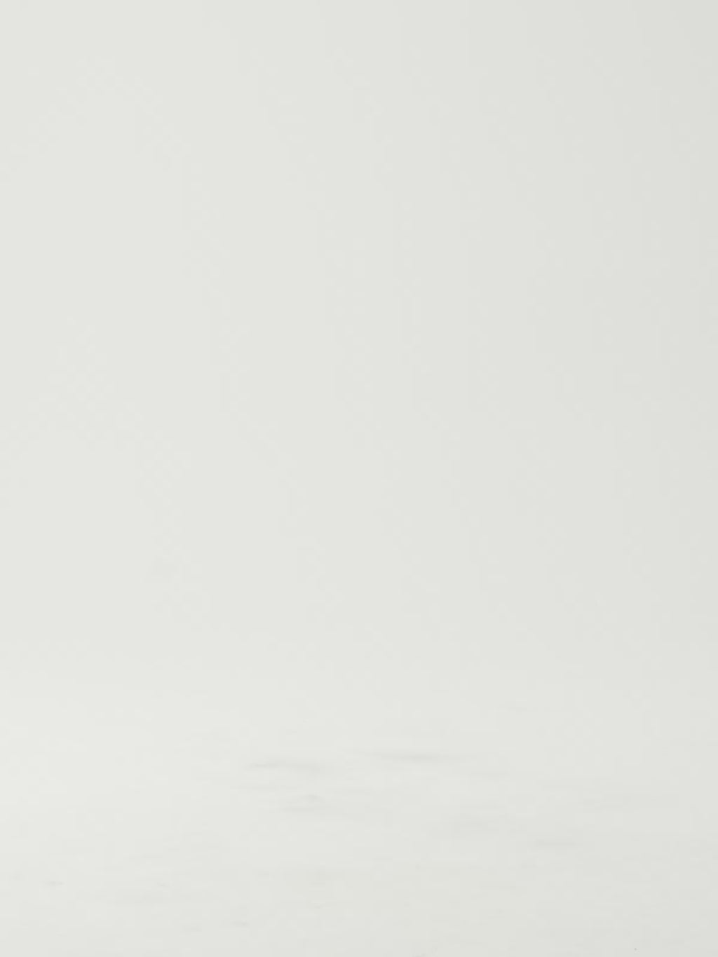 EMERY-220 STRASS BLACK