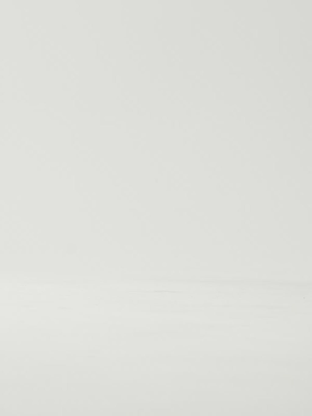 ANGELIA-815 PU LEOPAR BLK