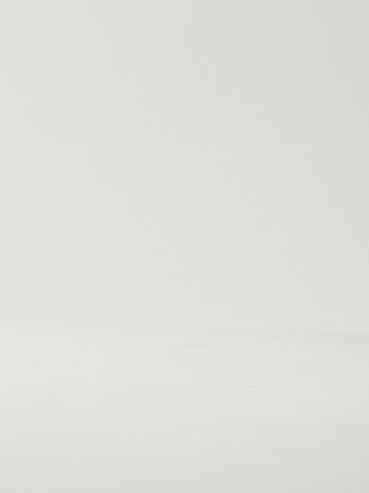 ANGELIA-815 PU LEOPAR BLK