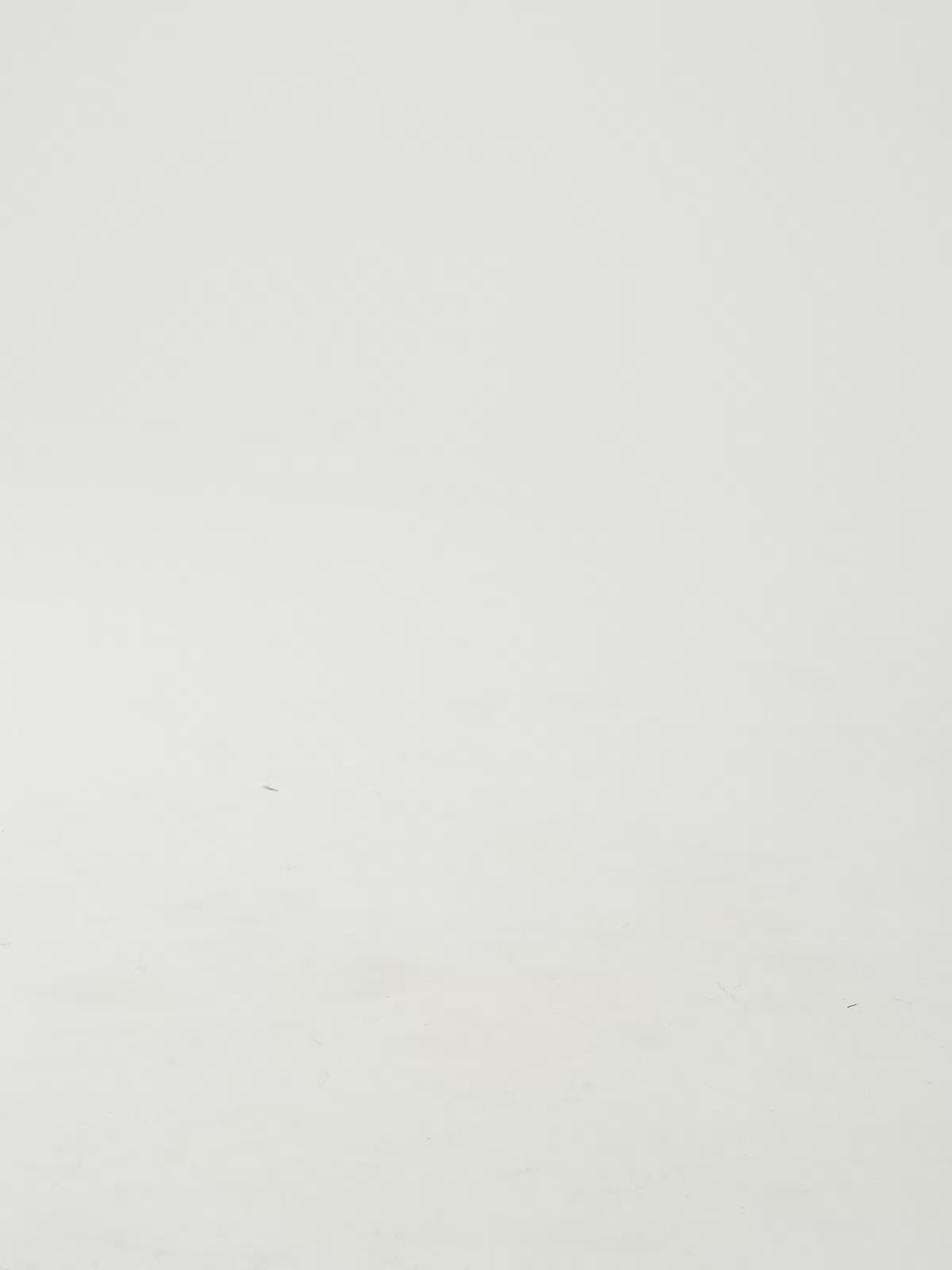 NADINE-310 FABRIC LEOPARD