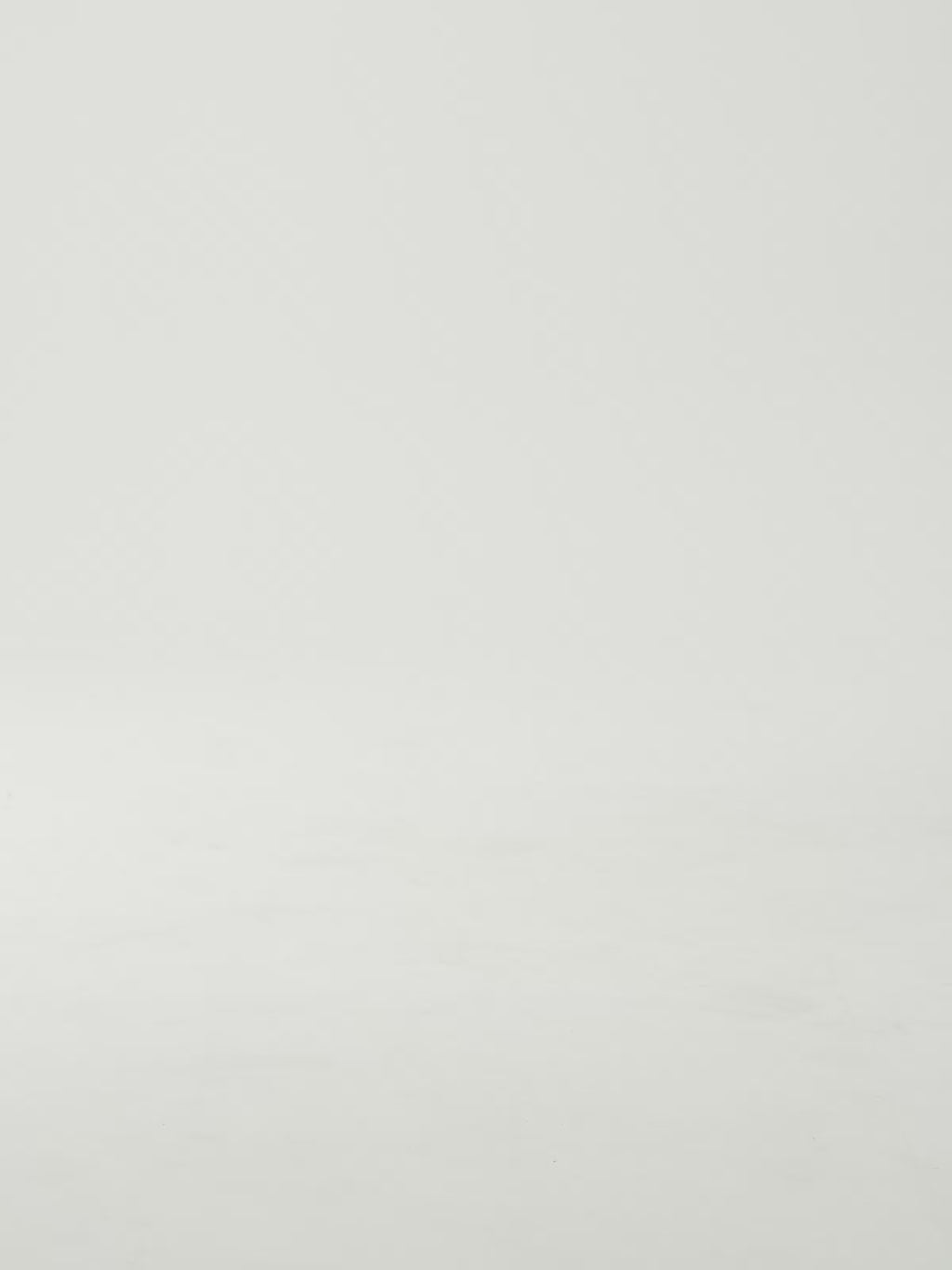 TOLEDO-905 LEOPARD BROWN